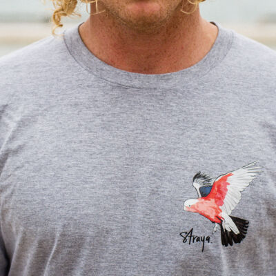 Flying Galah on Grey              Thumbnail