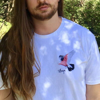 Flying Galah on White  Thumbnail